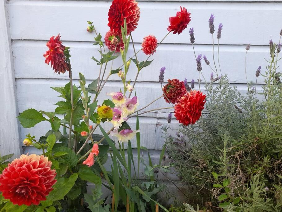 Riverlea Cottage - Cosy, Comfy, Quiet, Central Taumarunui Exterior foto